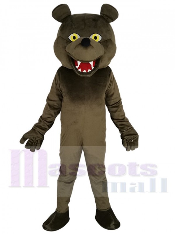 Ours costume de mascotte