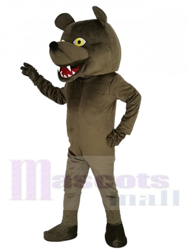 Ours costume de mascotte