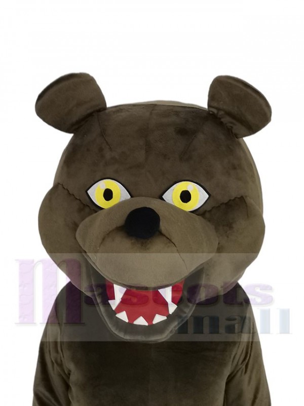 Ours costume de mascotte