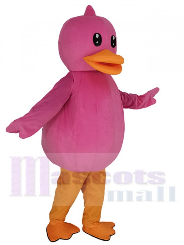 Canard costume de mascotte