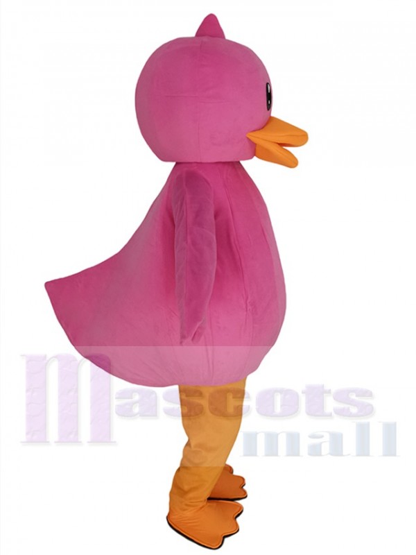 Canard costume de mascotte