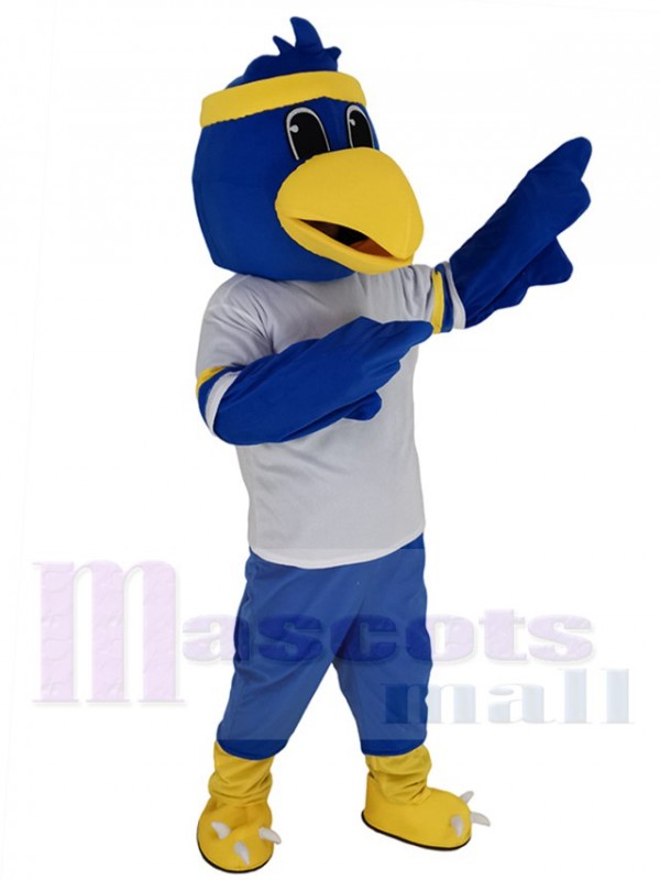 Fauconnerie costume de mascotte