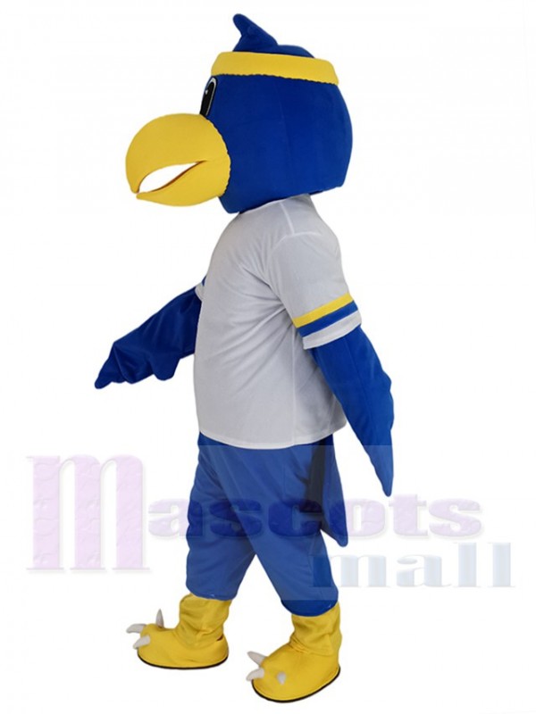 Fauconnerie costume de mascotte