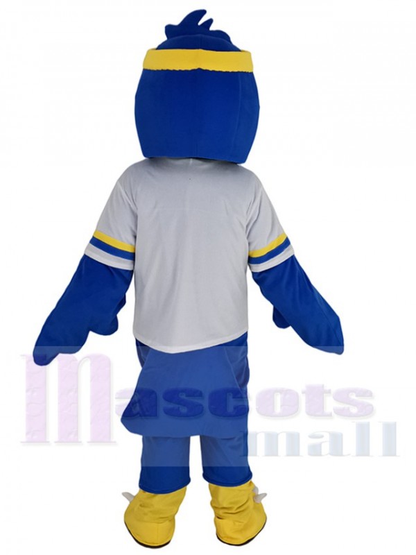Fauconnerie costume de mascotte