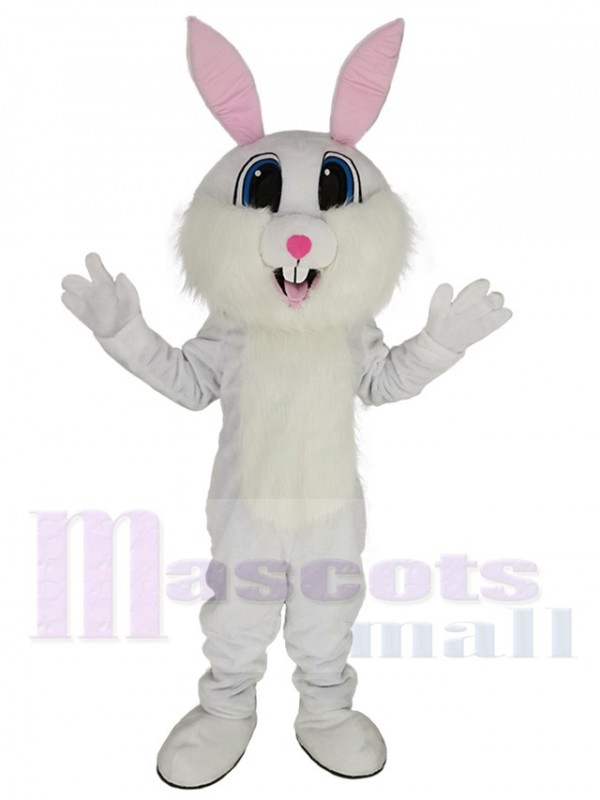 Lapin de Pâques costume de mascotte