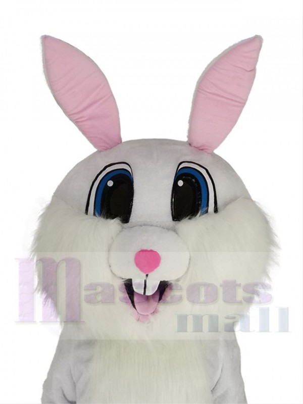 Lapin de Pâques costume de mascotte