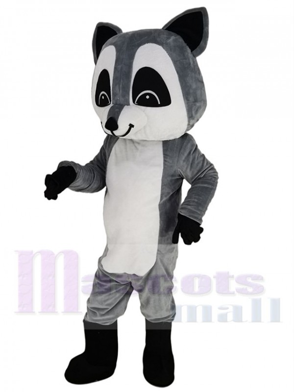 Raton Laveur costume de mascotte