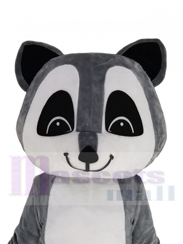 Raton Laveur costume de mascotte