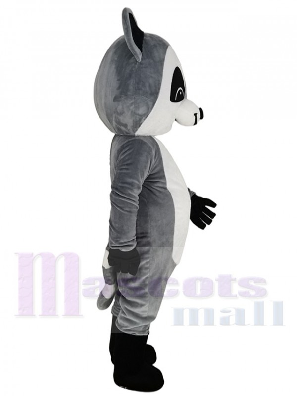 Raton Laveur costume de mascotte