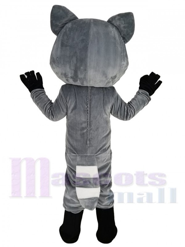 Raton Laveur costume de mascotte