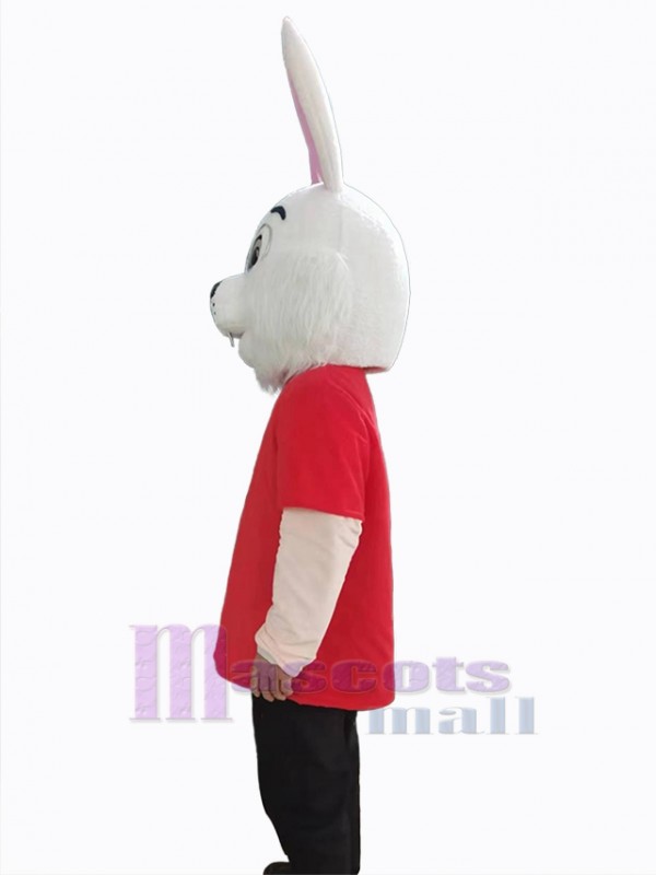 Lapin de Pâques costume de mascotte