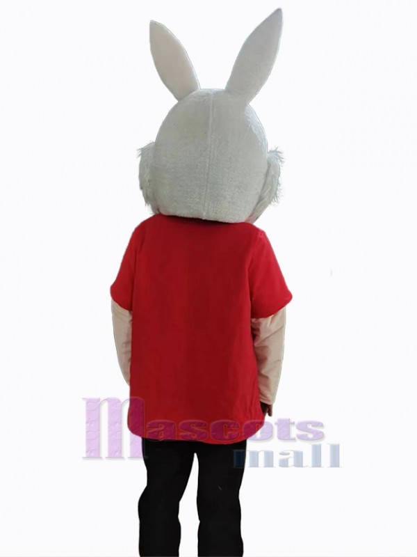 Lapin de Pâques costume de mascotte