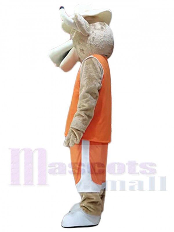 Taureau Texas Longhorns costume de mascotte