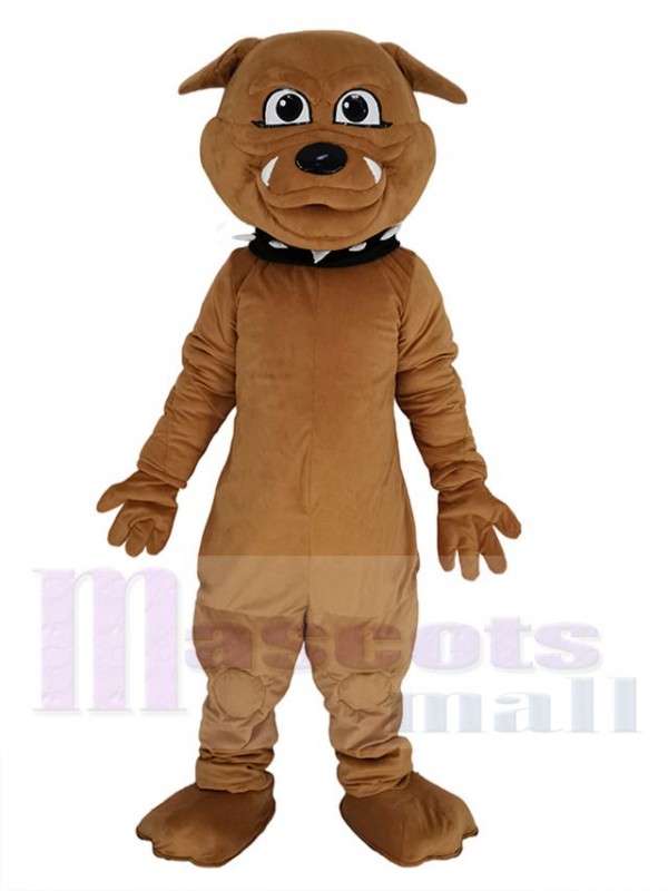 Bouledogue mascotte costume