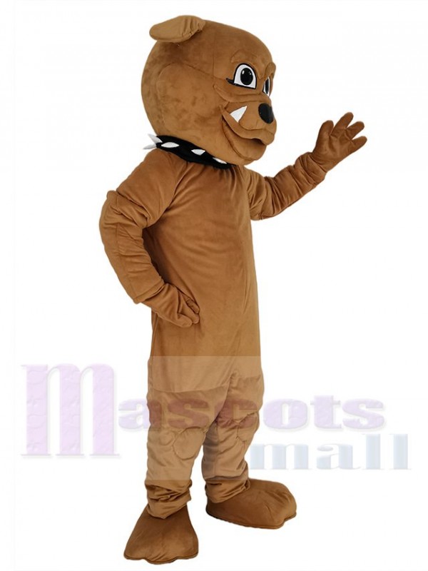 Bouledogue mascotte costume