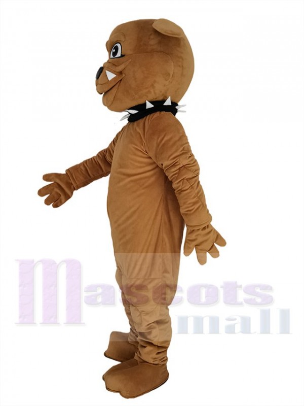 Bouledogue mascotte costume