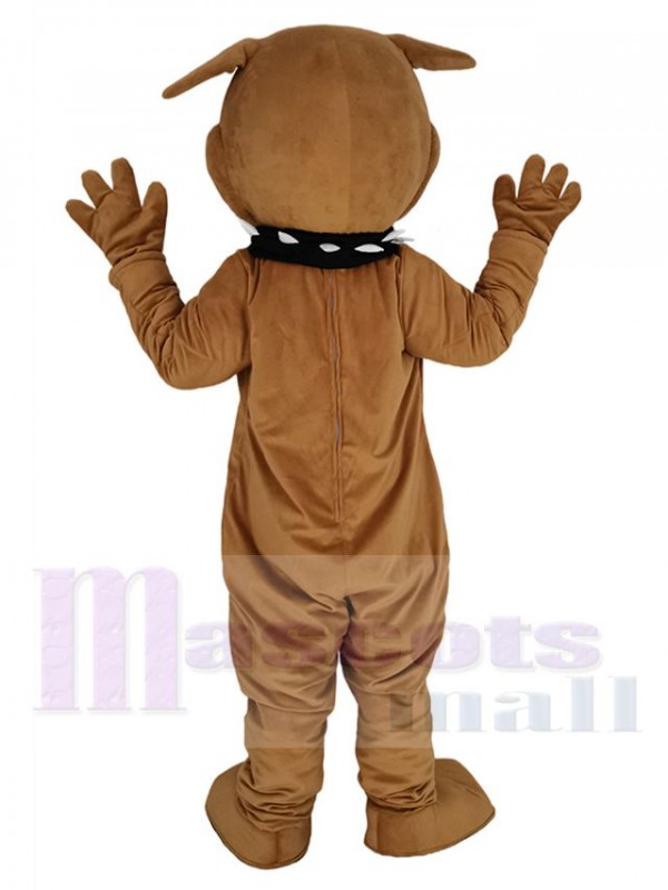 Bouledogue mascotte costume