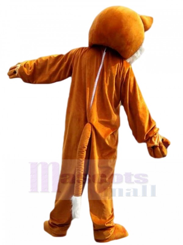 Renard costume de mascotte