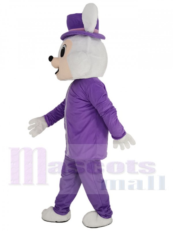 Lapin de Pâques costume de mascotte