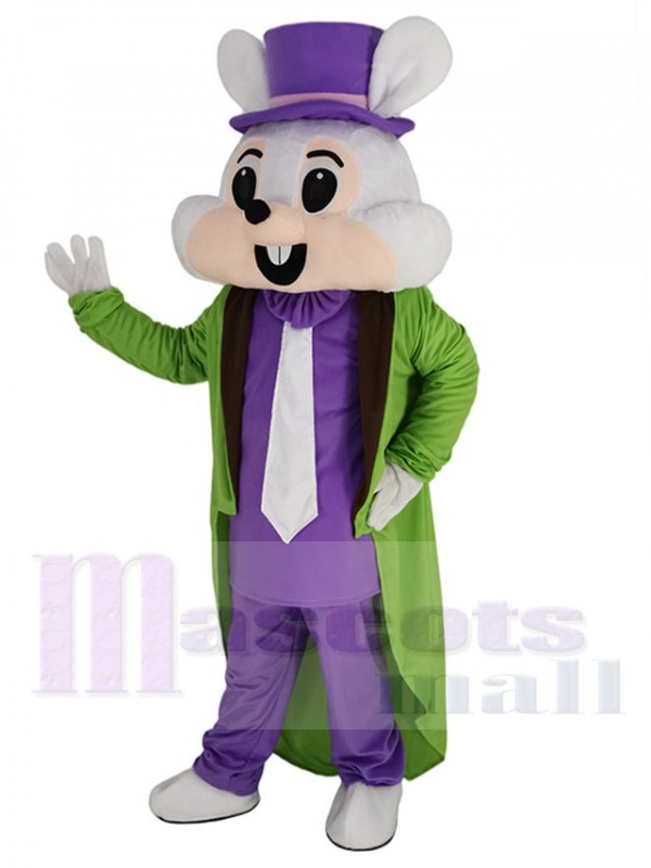 Lapin de Pâques costume de mascotte