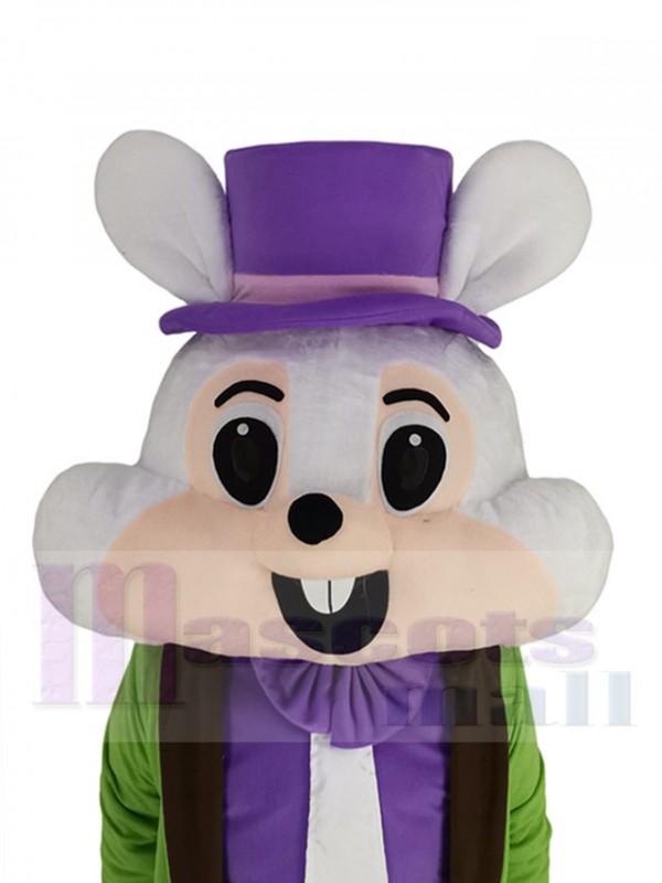 Lapin de Pâques costume de mascotte
