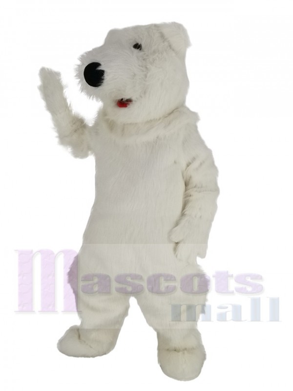 Ours polaire costume de mascotte