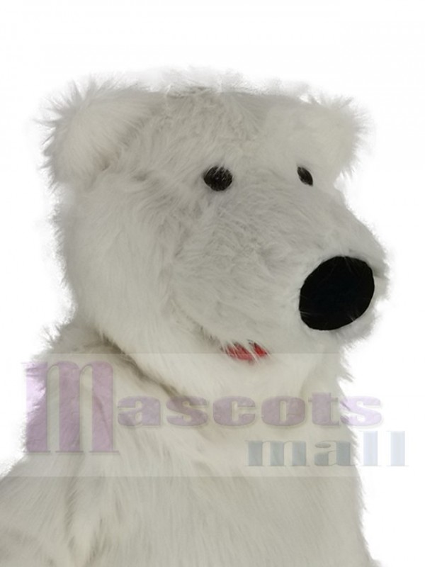 Ours polaire costume de mascotte