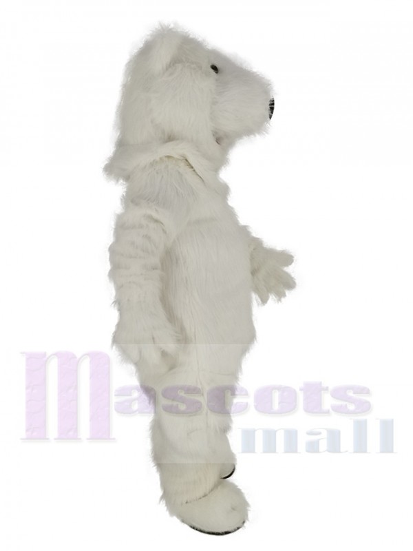 Ours polaire costume de mascotte