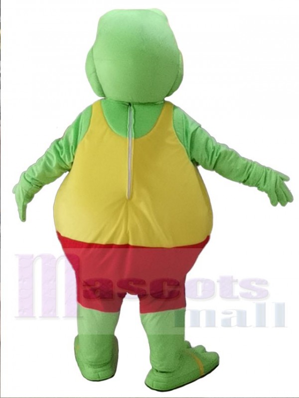 Grenouille costume de mascotte
