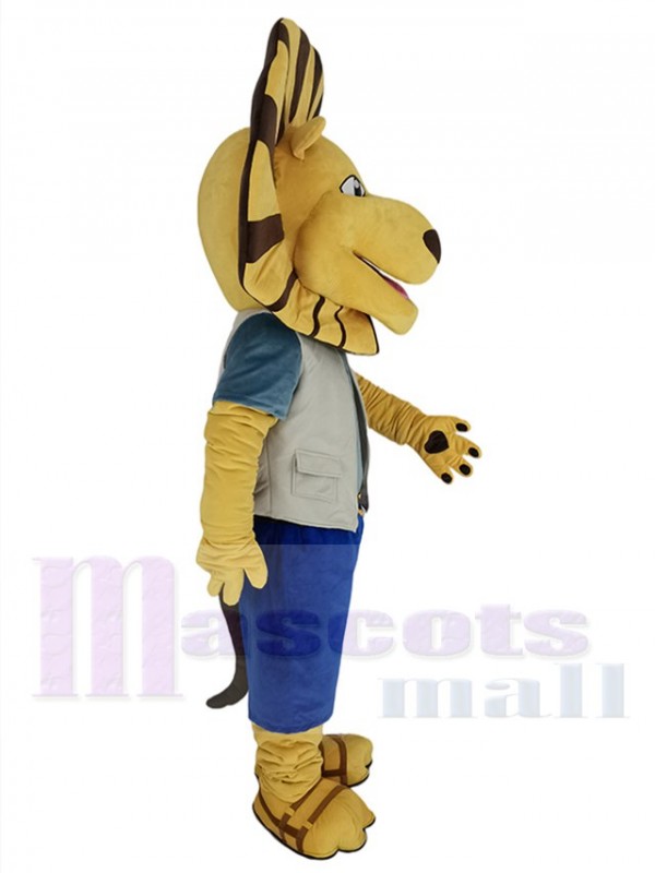 Lion costume de mascotte