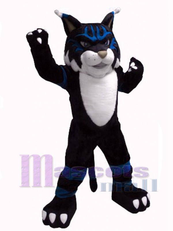 Chat costume de mascotte