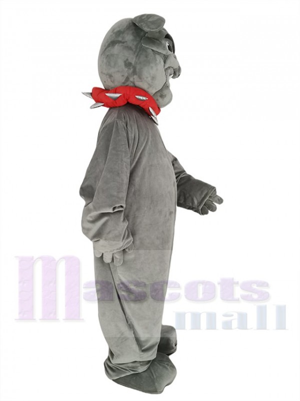 Bouledogue maskottchen kostüm