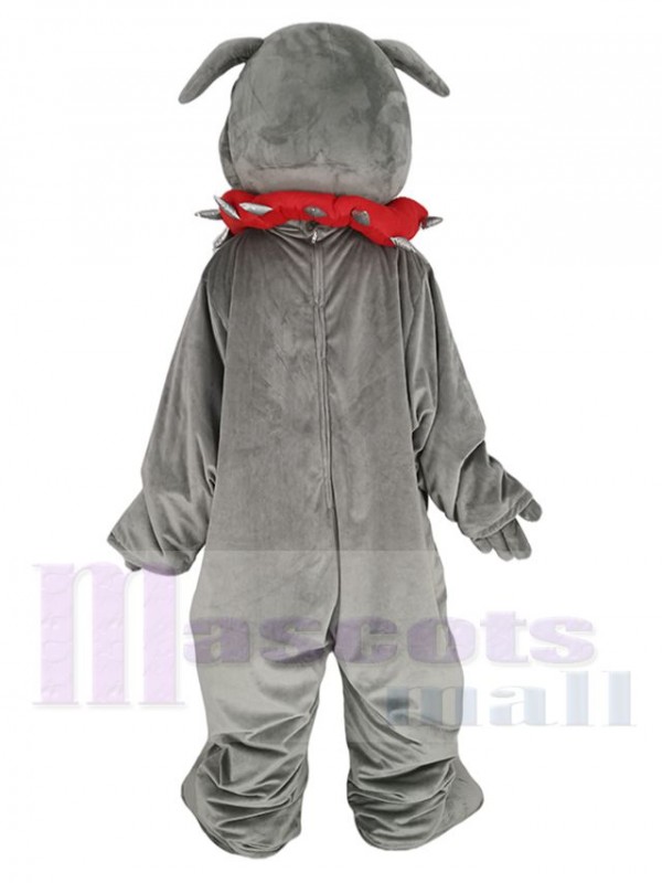 Bouledogue maskottchen kostüm