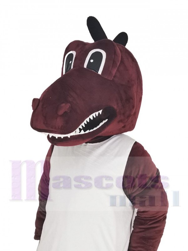 Dragon costume de mascotte