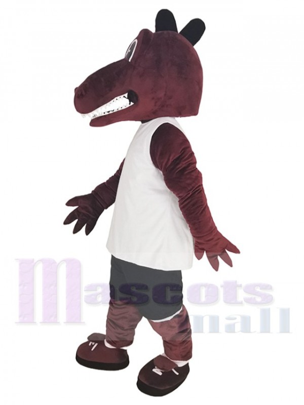Dragon costume de mascotte