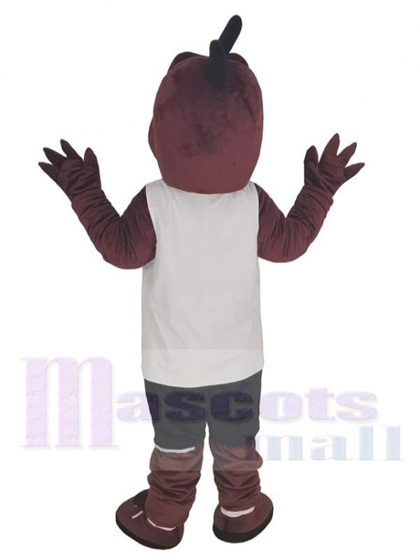 Dragon costume de mascotte