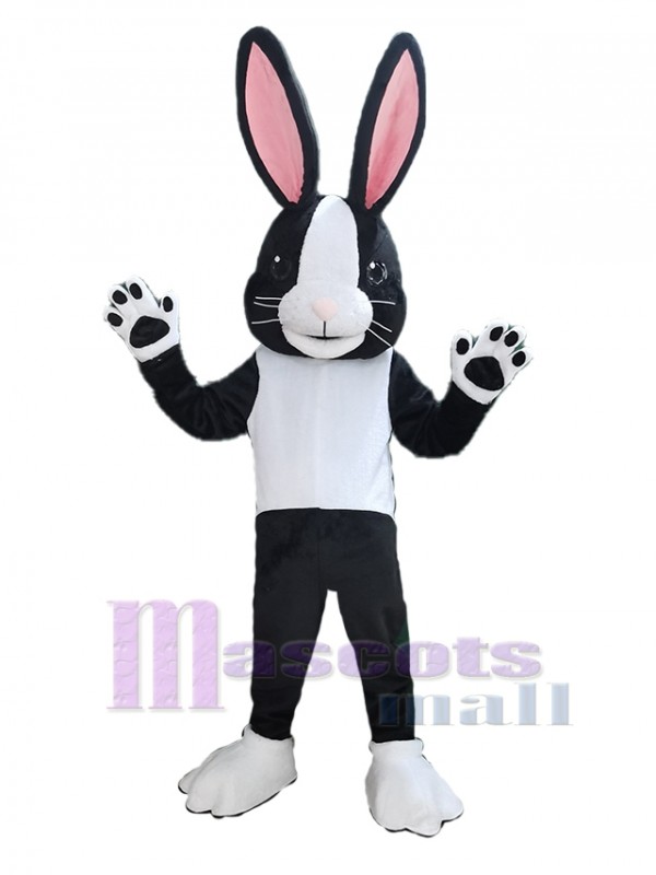 Lapin de Pâques costume de mascotte