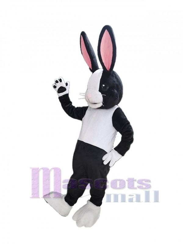 Lapin de Pâques costume de mascotte