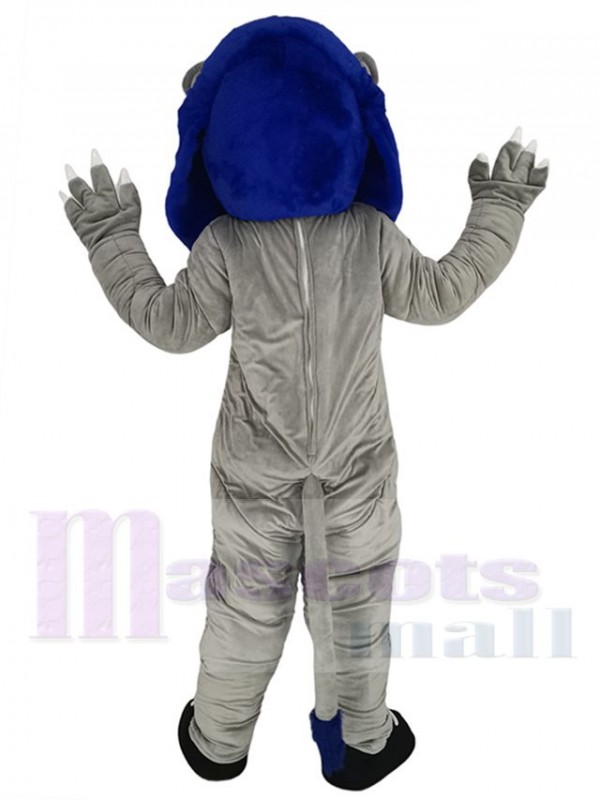 Lion costume de mascotte