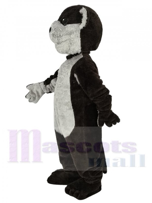 Loutre costume de mascotte