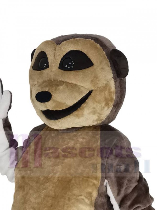 Suricate costume de mascotte