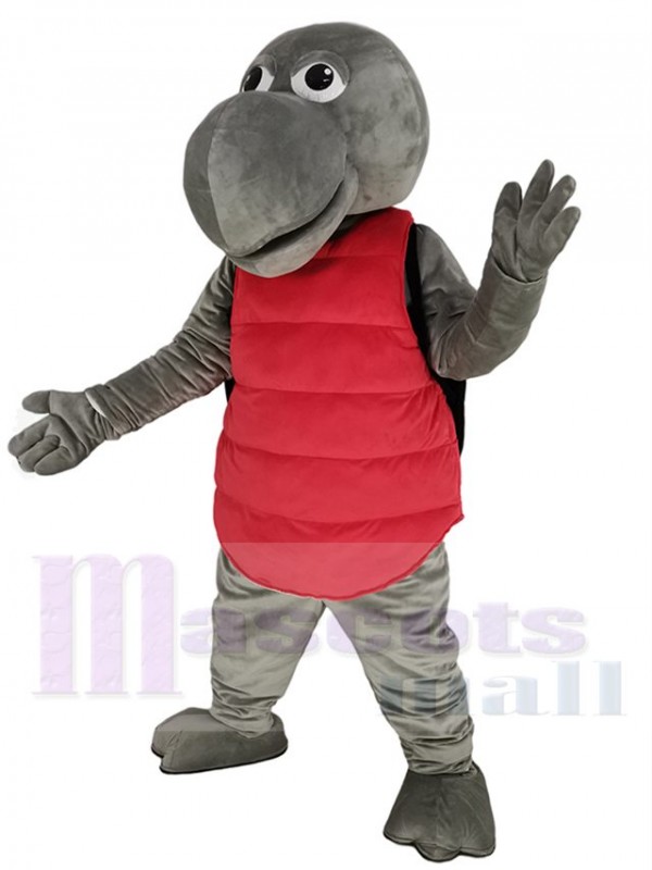 Tortue costume de mascotte