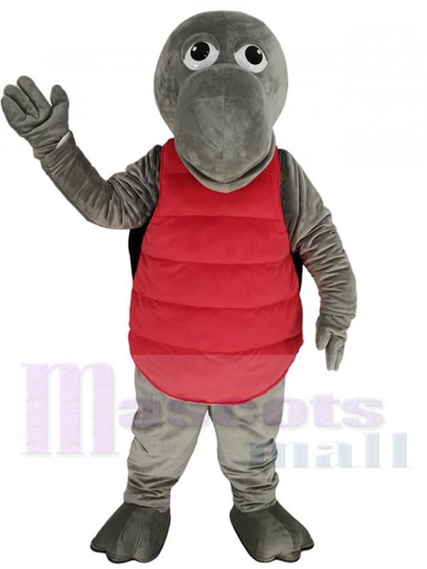 Tortue costume de mascotte