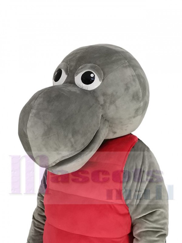 Tortue costume de mascotte