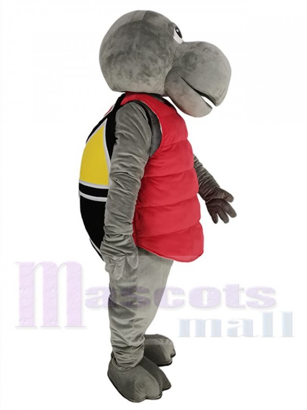 Tortue costume de mascotte