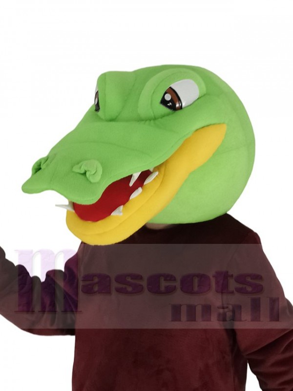 Alligator costume de mascotte