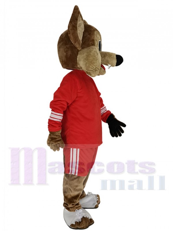 Coyote Loup costume de mascotte