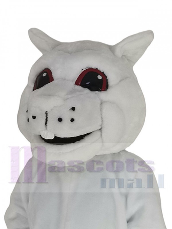 Écureuil costume de mascotte