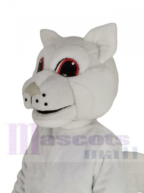 Écureuil costume de mascotte