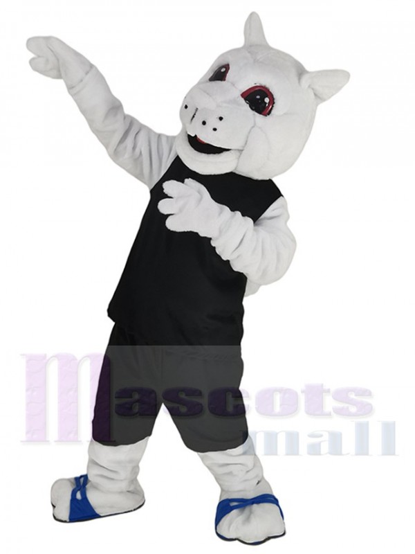 Écureuil costume de mascotte